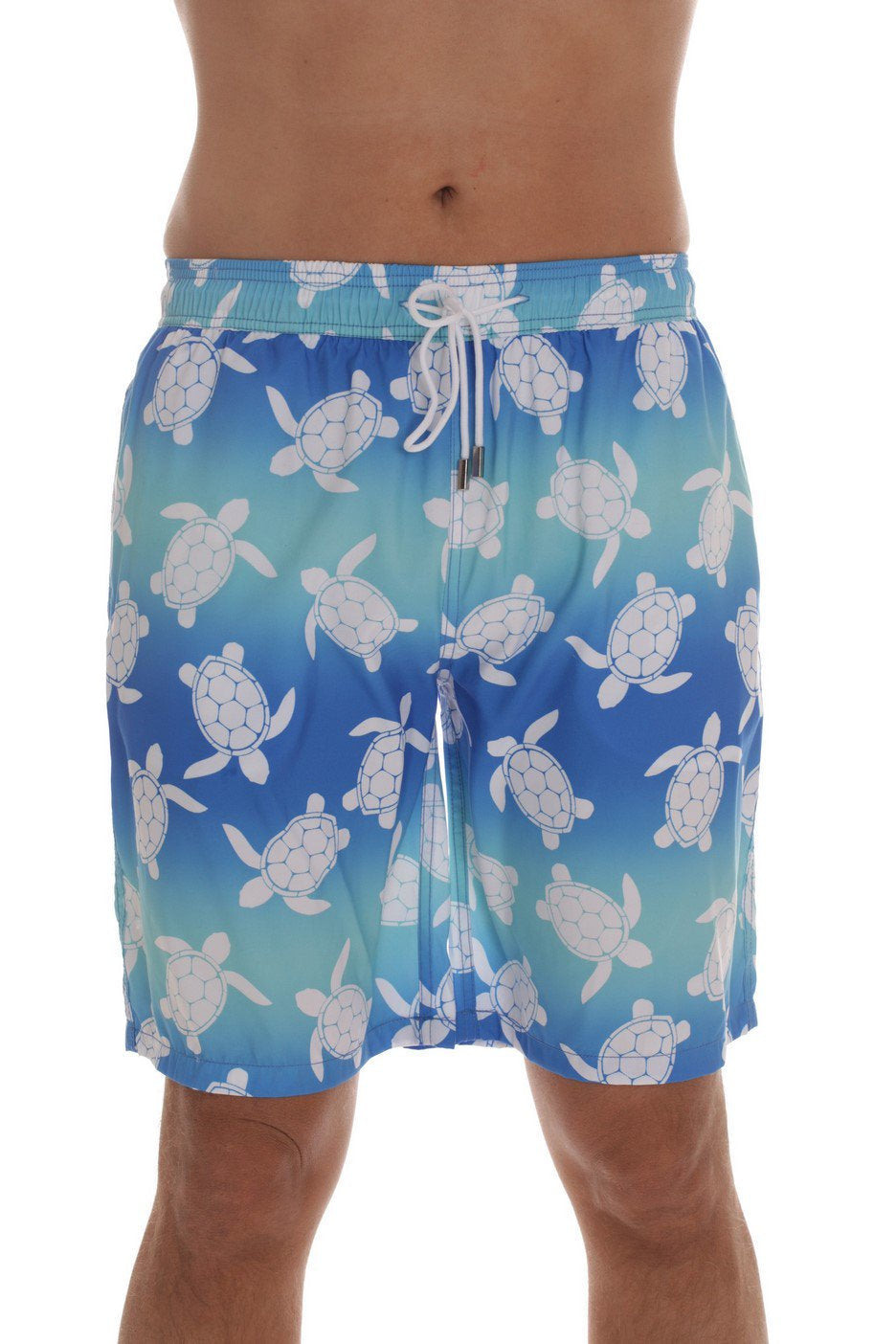 Whiskey and Oak Men'S Bathing Suit Swim Trunks 94953-5726-XS (Black - Bright Turtles, X-Small)